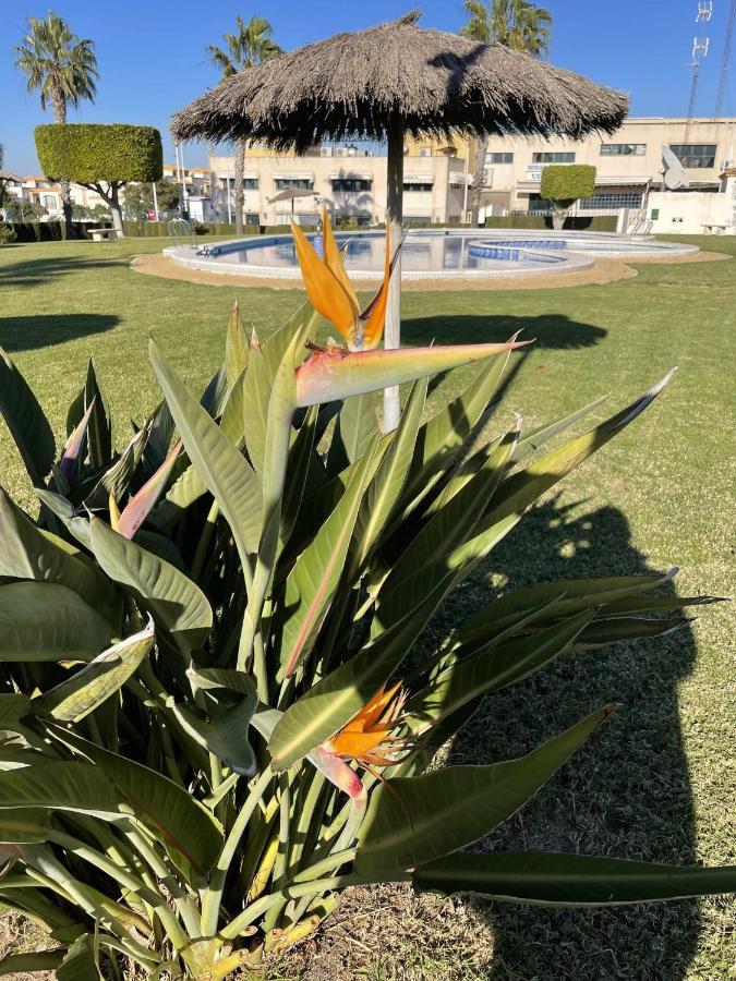 Apartamento Flamingo Gran Alacant Santa Pola Eksteriør billede